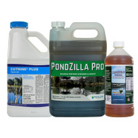 get rid of algae in pond get rid of algae in pond