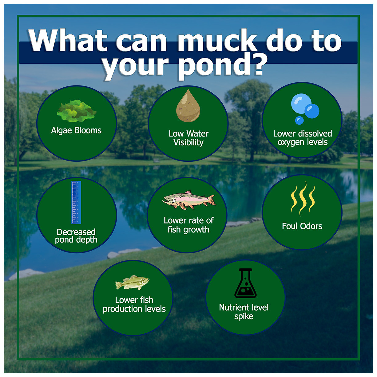 Muck Remover Pellets for Pond and Lake Muck Removal 50 lb