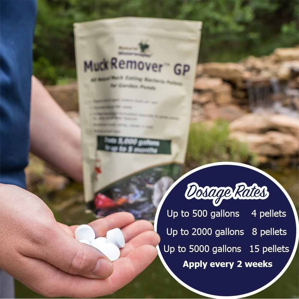 Muck Remover GP Koi Pond Cleaning Pellets