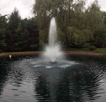 Otterbine Aerating Fountain 5 HP