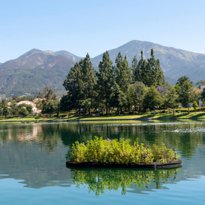 Floating island for lake