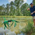 Texas Angler Fish Grass 24" - 6 Pack View Product Image