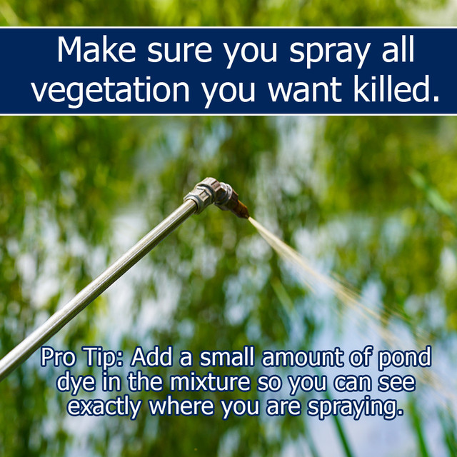 Duckweed Destroyer Duckweed Killer Get Rid of Duckweed Fast