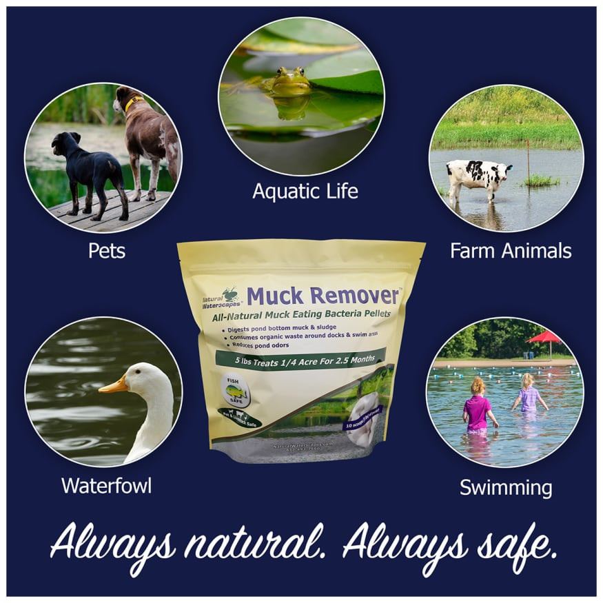 Muck Remover Pellets for Pond and Lake Muck Removal 10 lb