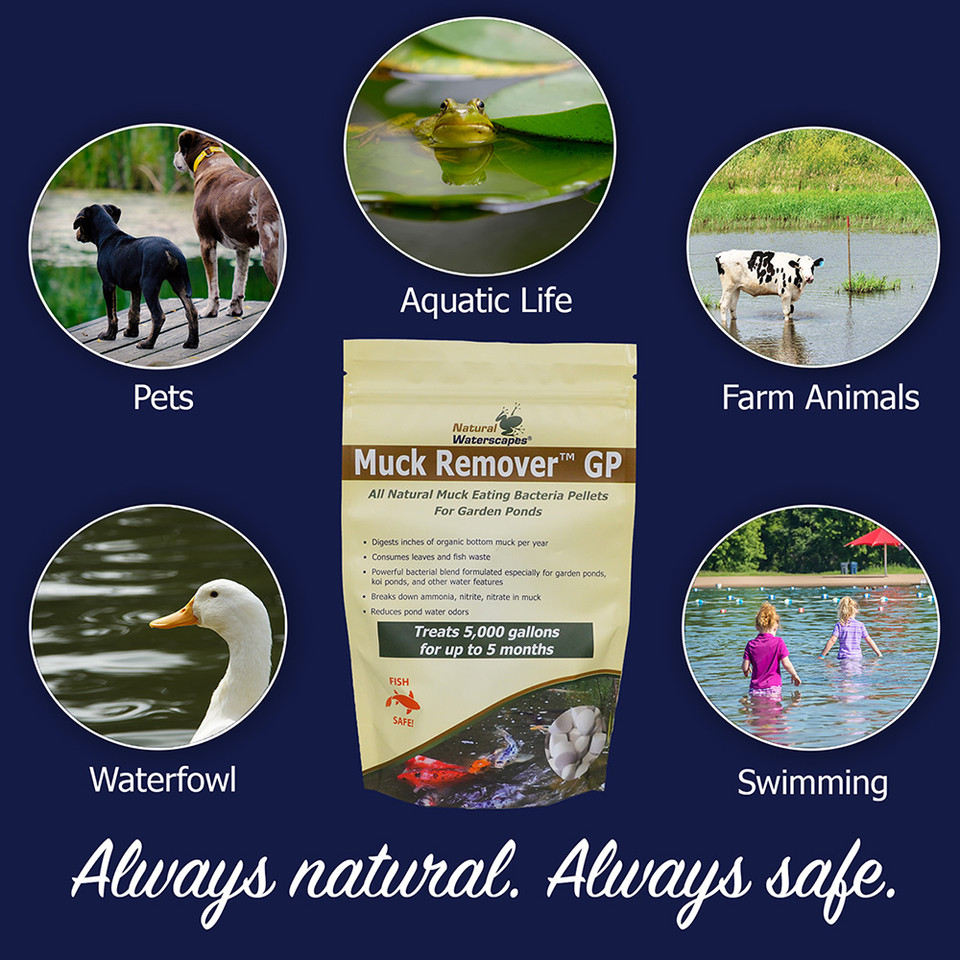 Muck Remover GP Koi Pond Cleaning Pellets