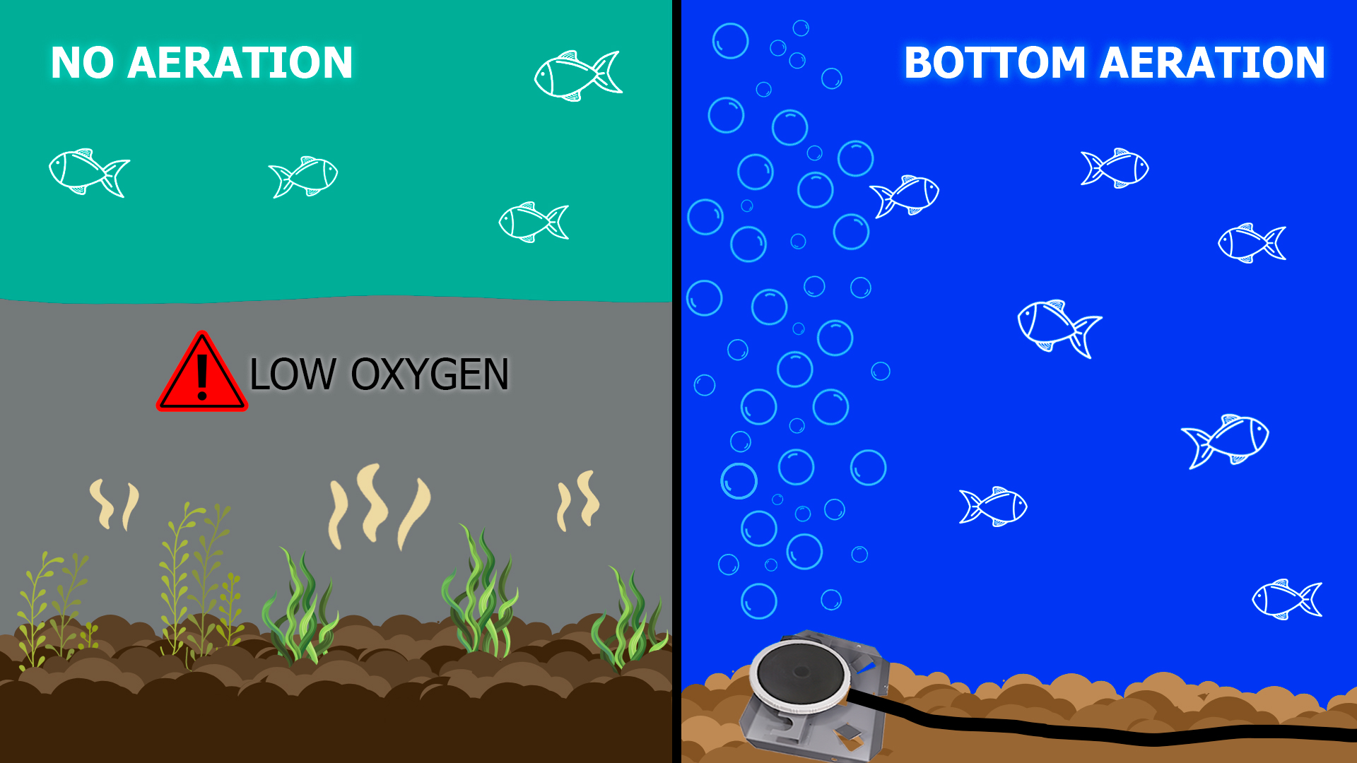 Impacts of Pond Aeration