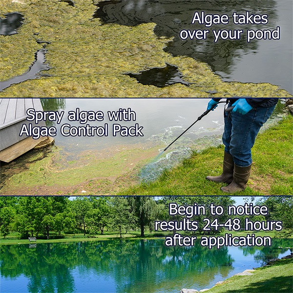 algae-control-pack-step-results.jpg