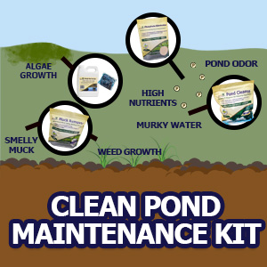 clean pond maintenance for large ponds