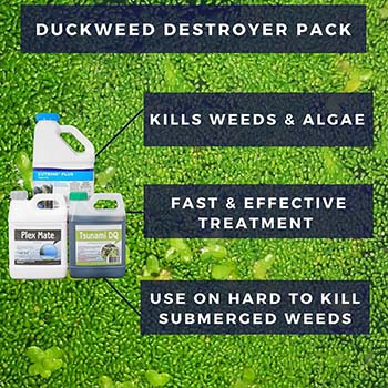 duckweed control pack for pond and lake