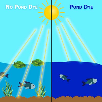 Outdoor Water Solutions Pond Dye Concentrate - Blue, Model PSP0125