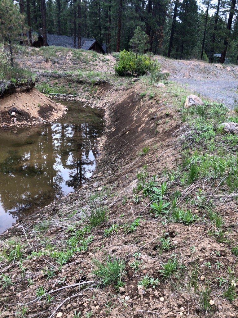 leaking pond