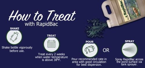 rapidbac-pond-ammonia-remover-beneficial-bacteria