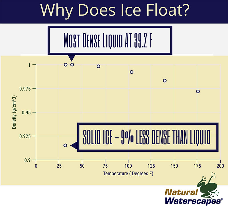 Why does ice float on a pond