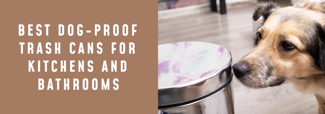 Best Dog-Proof Trash Cans for Kitchens and Bathrooms