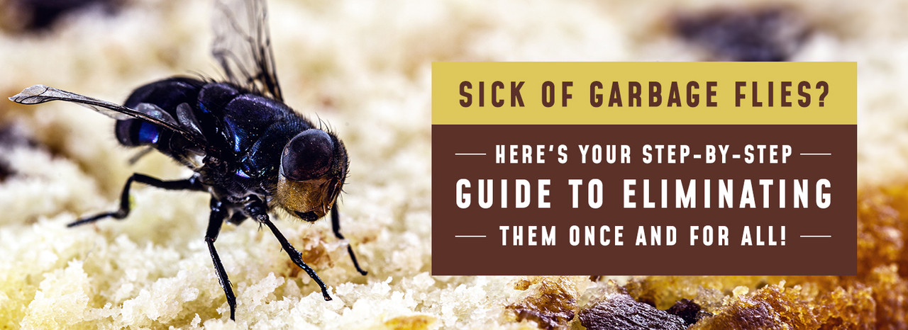 How To Get Rid Of Garbage Flies