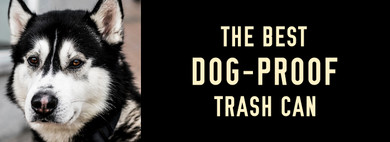The Best Dog-Proof Trash Cans