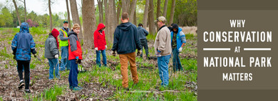 Why Conservation of National Parks Matters