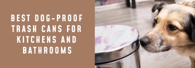 Best Dog-Proof Trash Cans for Kitchens and Bathrooms