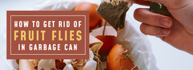 How To Get Rid Of Fruit Flies In Garbage Can
