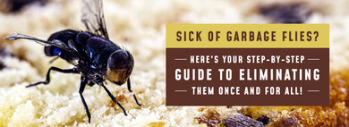 How To Get Rid Of Garbage Flies