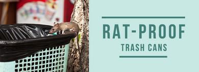 How to Rat-Proof Garbage Cans & Your Home