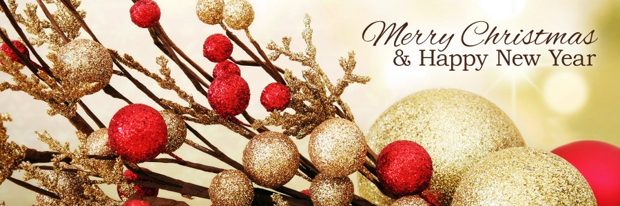Merry Christmas &amp; Happy New Year