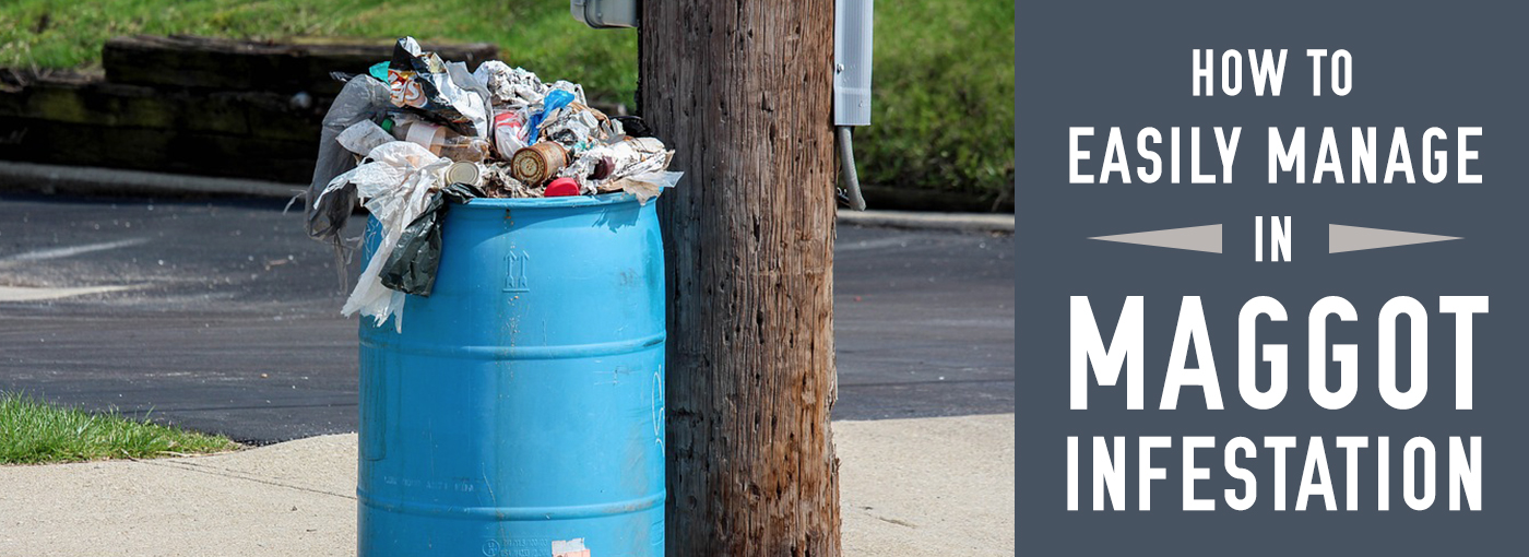 Maggots in Trash?: How to Easily Manage a Maggot Infestation in Your Trash  Can - Trash Cans Unlimited