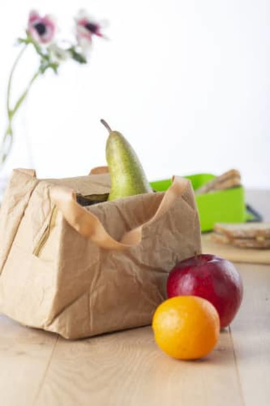 Kraft paper cooler bag Callen