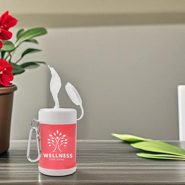 Antibacterial Wipes Canister