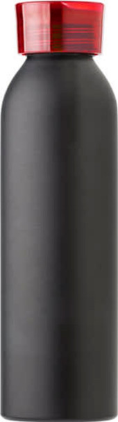 Aluminium bottle (650 ml) Henley