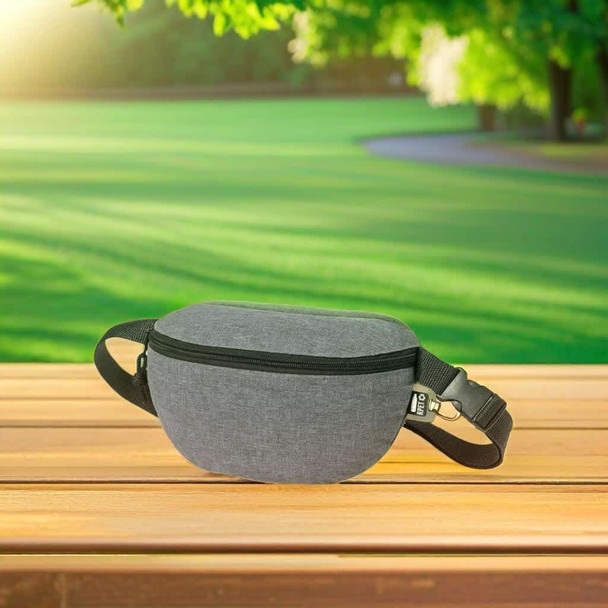 Parks Bum Bag