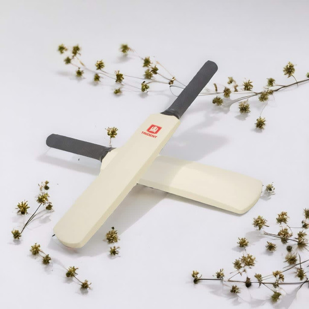 Mini Cricket Bat