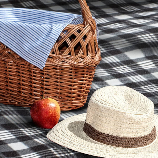 A picnic basket with a blue and white checkered lining, an apple, and a straw hat are placed on a plaid picnic blanket.