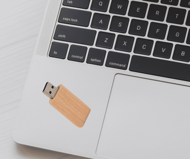 Carina Flash Drive