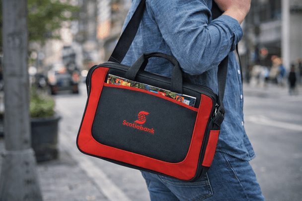 Dolphin Business Briefcase 7L