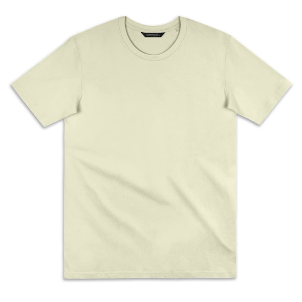 A light green T-shirt with short sleeves, featuring a crew neckline and a logo tag.