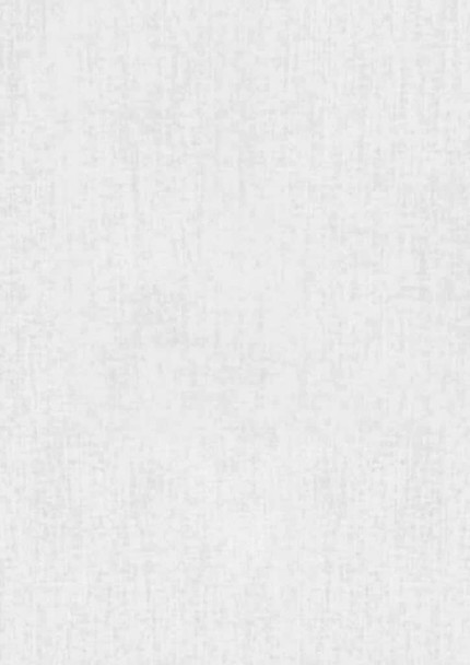 A plain white fabric texture, smooth and uniform in appearance, suitable for clothing.