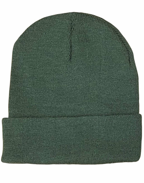 A green beanie with a textured pattern and a folded cuff, featuring a logo on the side.