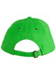 A green cap with a curved peak and adjustable strap at the back. It features a logo.