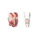 A festive acrylic magnetic clip shaped like Santa Claus in red and white, featuring a logo on the back.