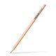 A wooden graphite pencil with a round barrel and a hexagonal tip, featuring a logo on the side.