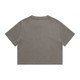 A heavy faded crop tee in a warm grey colour with a simple design and short sleeves. The shirt features a logo.