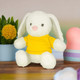 Rabbit Plush Toy