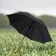 Pro Umbrella