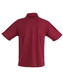 A red children's polo shirt featuring a classic design and a collar. It has short sleeves and a plain back.