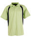 A green polo shirt with black side panels, featuring a collar and short sleeves, includes a logo on the chest.