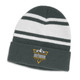 A green and white striped beanie with a folded cuff and a logo on the front.