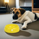 Dog Bowl