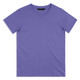 A plain purple men's T-shirt featuring a round neck and short sleeves, with a small logo on the collar.