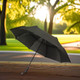 Director Umbrella